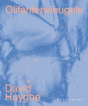 David Huyghe Olifantenvleugels recensie