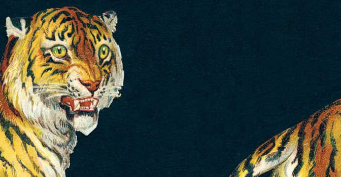 Het vormeloze ongemak Samantha Harvey boek over een jaar lang niet slapen