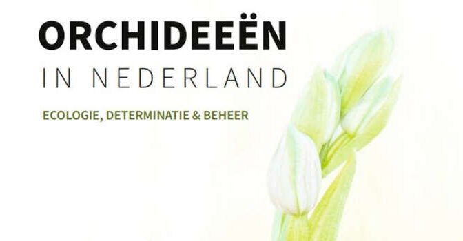 Orchideeën in Nederland boek over ecologie, determinatie & beheer van de Nederlandse orchidee