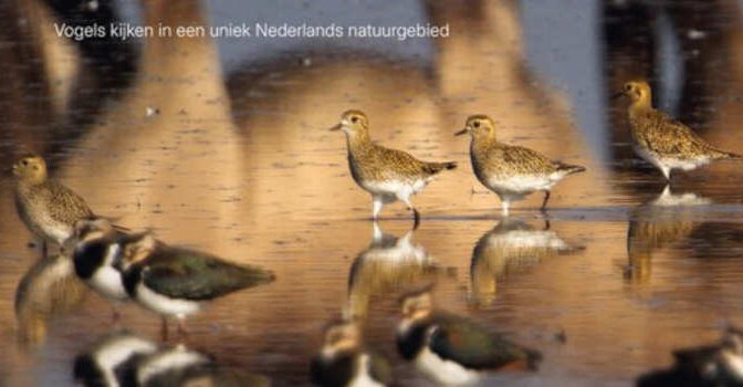Vogelparadijs Lauwersmeer Sijmen Hendriks boek over vogels kijken in een uniek Nederlands natuurgebied