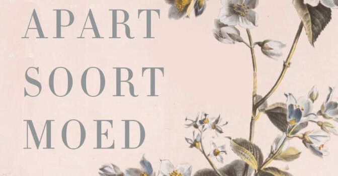 Een apart soort moed Jan Oegema boek over Erry Hillesum nu