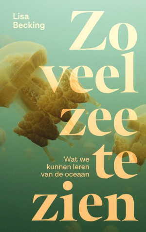 Lisa Becking Zo veel zee te zien recensie