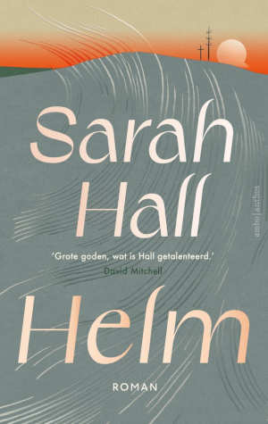 Sarah Hall Helm recensie