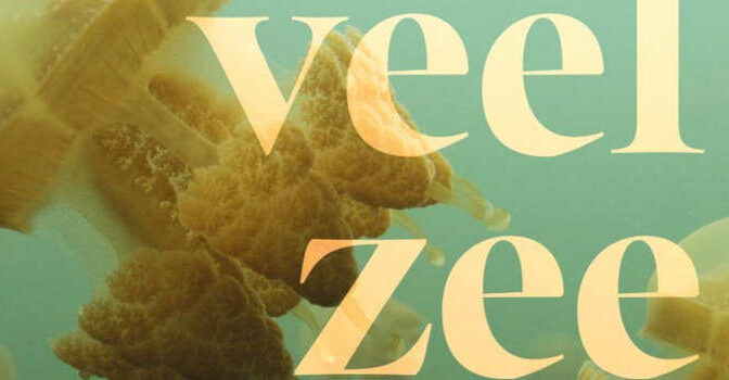 Zo veel zee te zien Lisa Becking over wat we kunnen leren van de oceaan