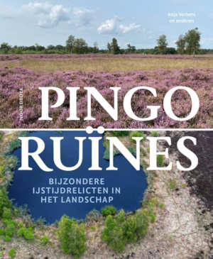 Anja Verbers Pingoruïnes recensie