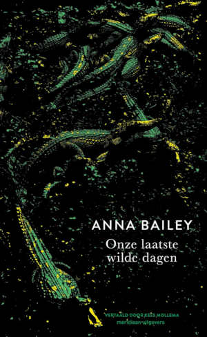 Anna Bailey Onze laatste wilde dagen