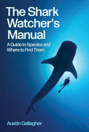 Austin Gallagher The Shark Watcher's Manual review