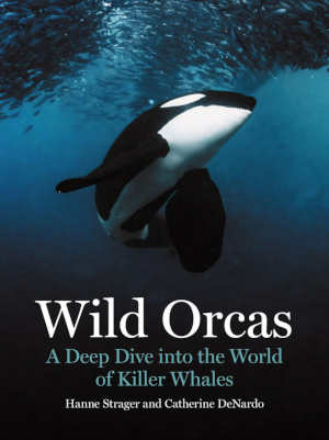 Hanne Strager & Catherine DeNardo Wild Orca's