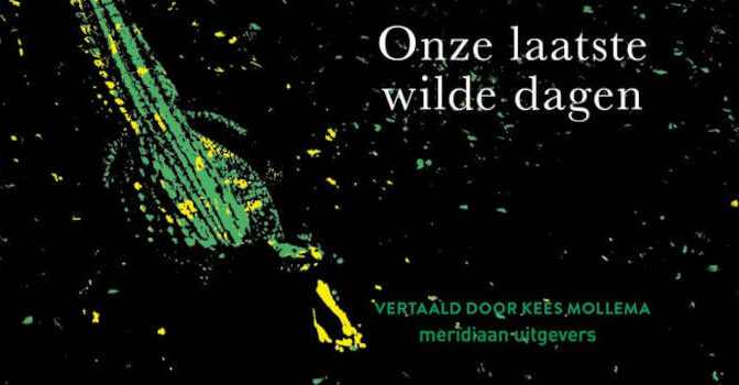 Onze laatste wilde dagen Anna Bailey roman en gothic novel