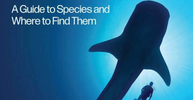 The Shark Watcher's Manual Austin Gallagher Book and Guide to Species and Where to Find Them