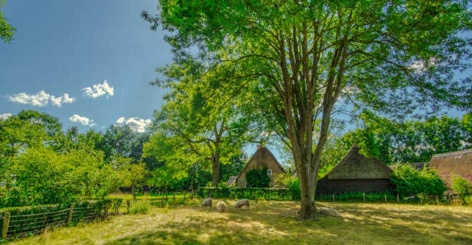 Drenthe thrillers en misdaadboeken