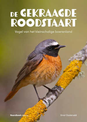 Ernst Oosterveld De gekraagde roodstaart recensie