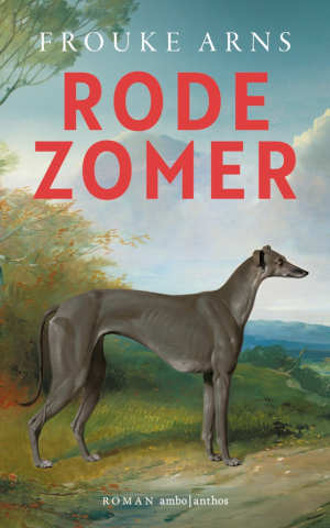 Frouke Arns Rode zomer recensie
