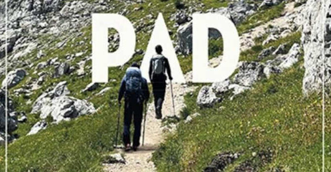 Het droompad Twan Huys wandelboek over de Alpen