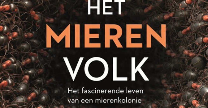 Het mierenvolk Armin Schieb boek over het fascinerende leven van een mierenkolonie