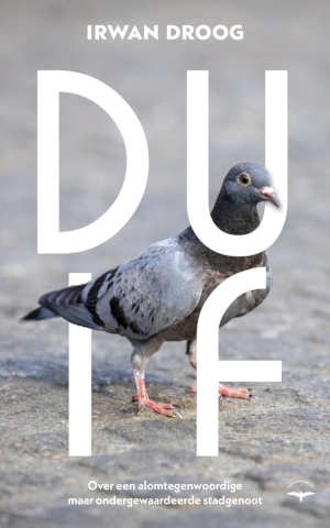 Irwan Droog Duif recensie