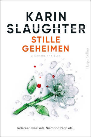 Karin Slaughter Stille geheimen recensie