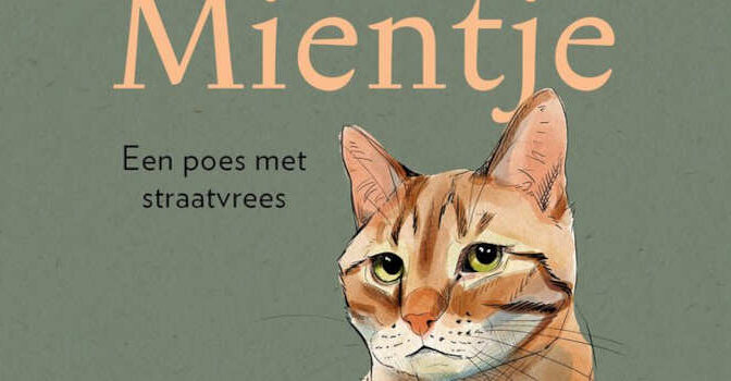 Mientje Sanne Vogel roman over een poes met straatvrees