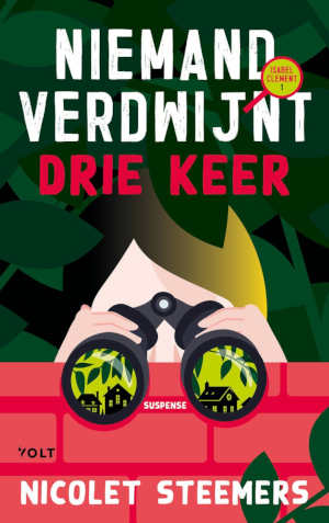 Nicolet Steemers Niemand verdwijnt drie keer recensie