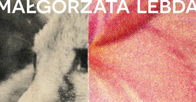Onstilbaar Małgorzata Lebda roman van de Poolse schrijfster