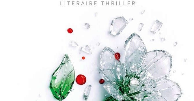 Stille geheimen Karin Slaughter thriller