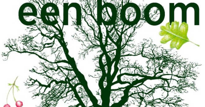 Zo teken je een boom Alex Boon boek over bomen tekenen van bes tot bos