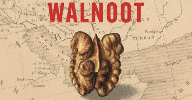De reis van de walnoot Romke van de Kaa boek