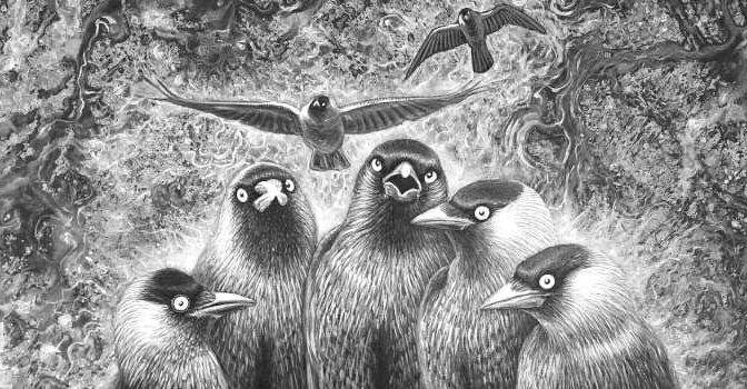 Door de ogen van een vogel Achilles Cools boek over over hoe een vogel de wereld ervaart