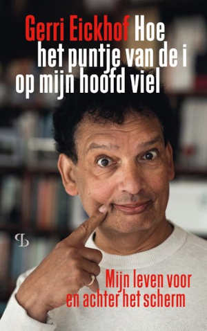 Gerri Eickhof Hoe het puntje van de i op mijn hoofd viel recensie