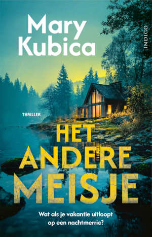 Mary Kubica Het andere meisje recensie