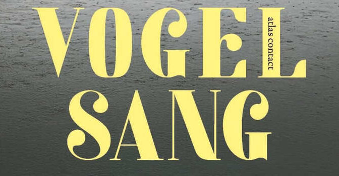 Eva Menasse – Vogelsang