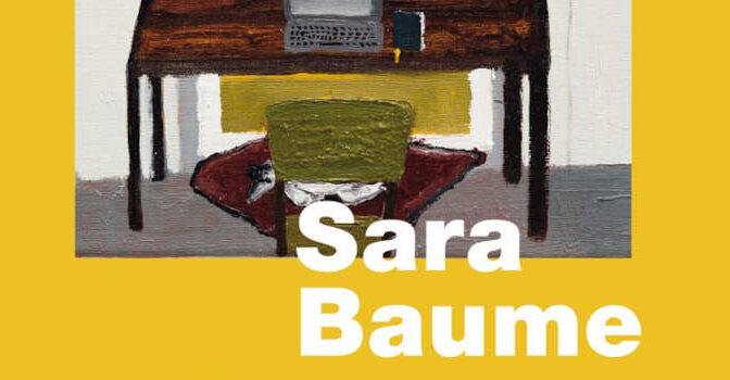 De opening Sara Baume roman