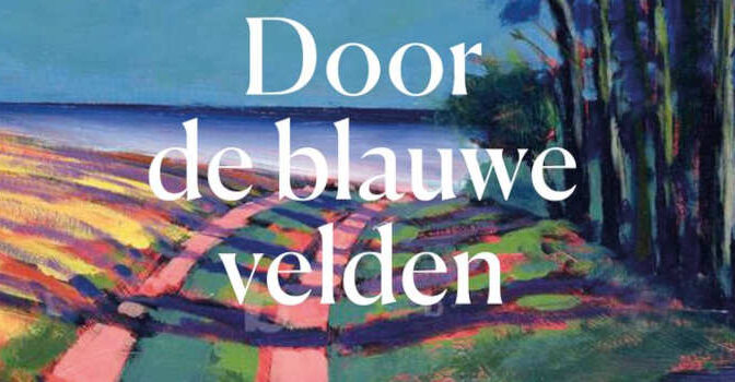 Door de blauwe velden Claire Keegan boek
