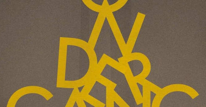 Ondergang Bart Maddens boek over de IJzerbedevaart