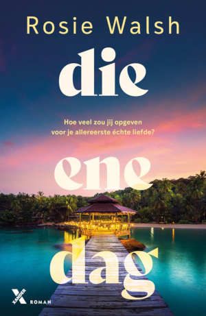 Rosie Walsh Die ene dag recensie