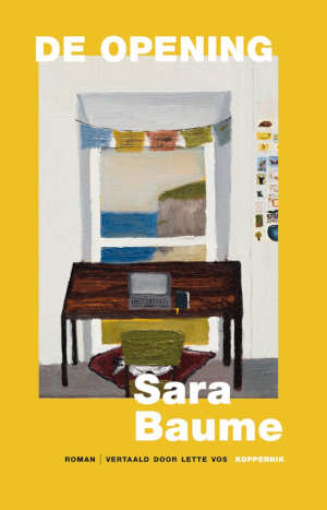 Sara Baume De opening recensie
