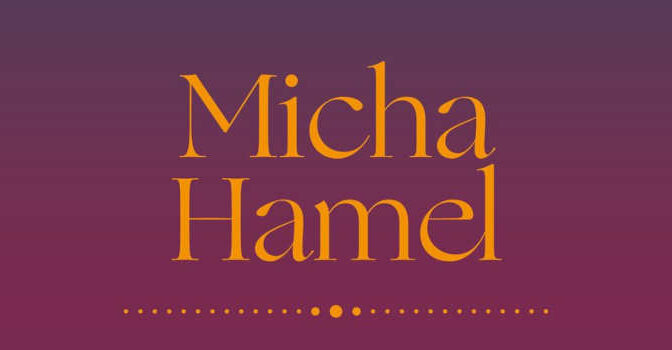 Verzamelde gedichten 2003-2023 Micha Hamel