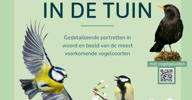 Complete gids Vogels in de tuin over de meest voorkomende tuinvogels