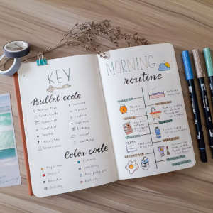 Bullit Journal