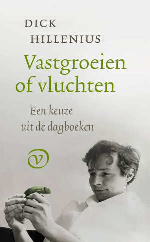 Dick Hillenius Vastgroeien of vluchten recensie