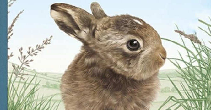 Een haasje in huis kinderboek van Chloe Dalton