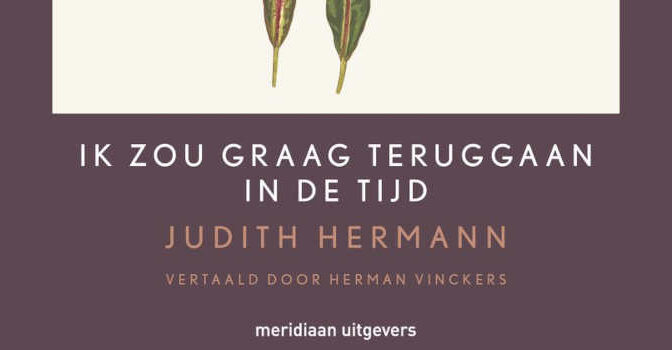 Ik zou graag teruggaan in de tijd boek van Judith Hermann