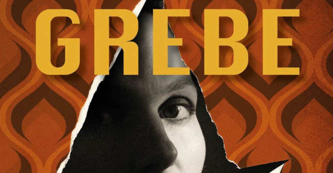 In het holst van de nacht thriller van Camilla Grebe