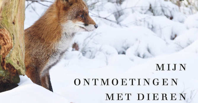 Van een afstand en toch dichtbij boek van Pieter van Vollenhoven mijn ontmoetingen met dieren