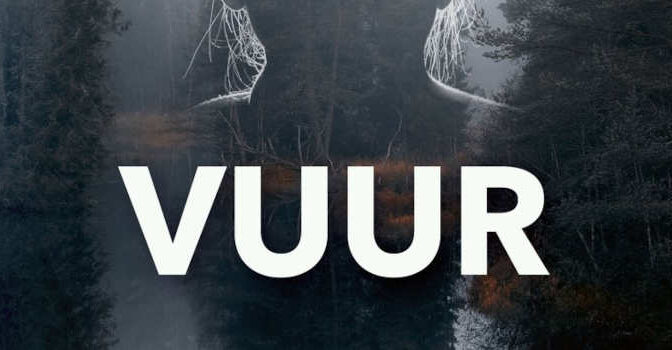 Vuur Zweedse thriller van Sara Strömberg