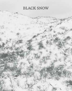 Harm van de Poel Black Snow