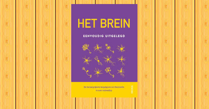 Het brein eenvoudig uitgelegd boek van Rita Carter de werking van de hersenen