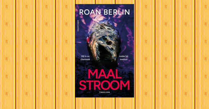 Maalstroom thriller van Roan Berlin