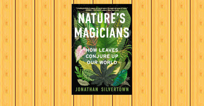 Nature's Magicians book by Jonathan Silvertown on How Leaves Conjure Up Our World