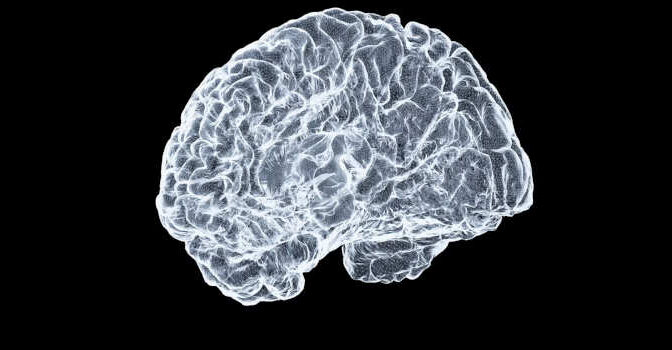 Neurowetenschap boeken over het zenuwstelsel